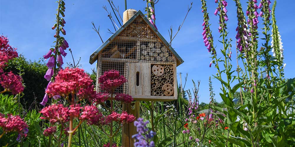 Comment cultiver sous serre en permaculture ?