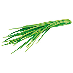 ciboulette