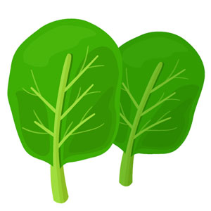 épinard