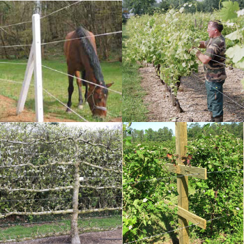 Fil Deltex Pro pour palisser des plants Fil Deltex Pro pour palissage de cultures ou enclos