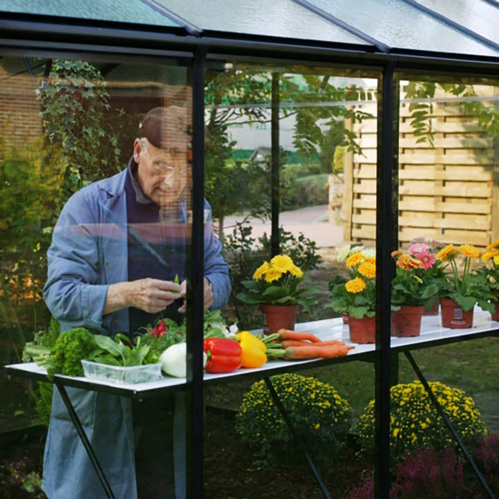 table de travail universelle pour serre en verre ACD