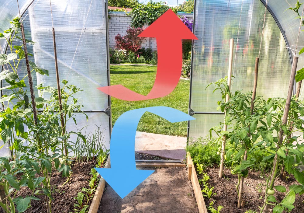 conseils aération serre de jardin