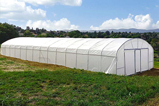 Serre tunnel Professionnelle  avec aérations latérales