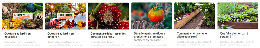 Nos conseils pour vous aider à optimiser votre jardin