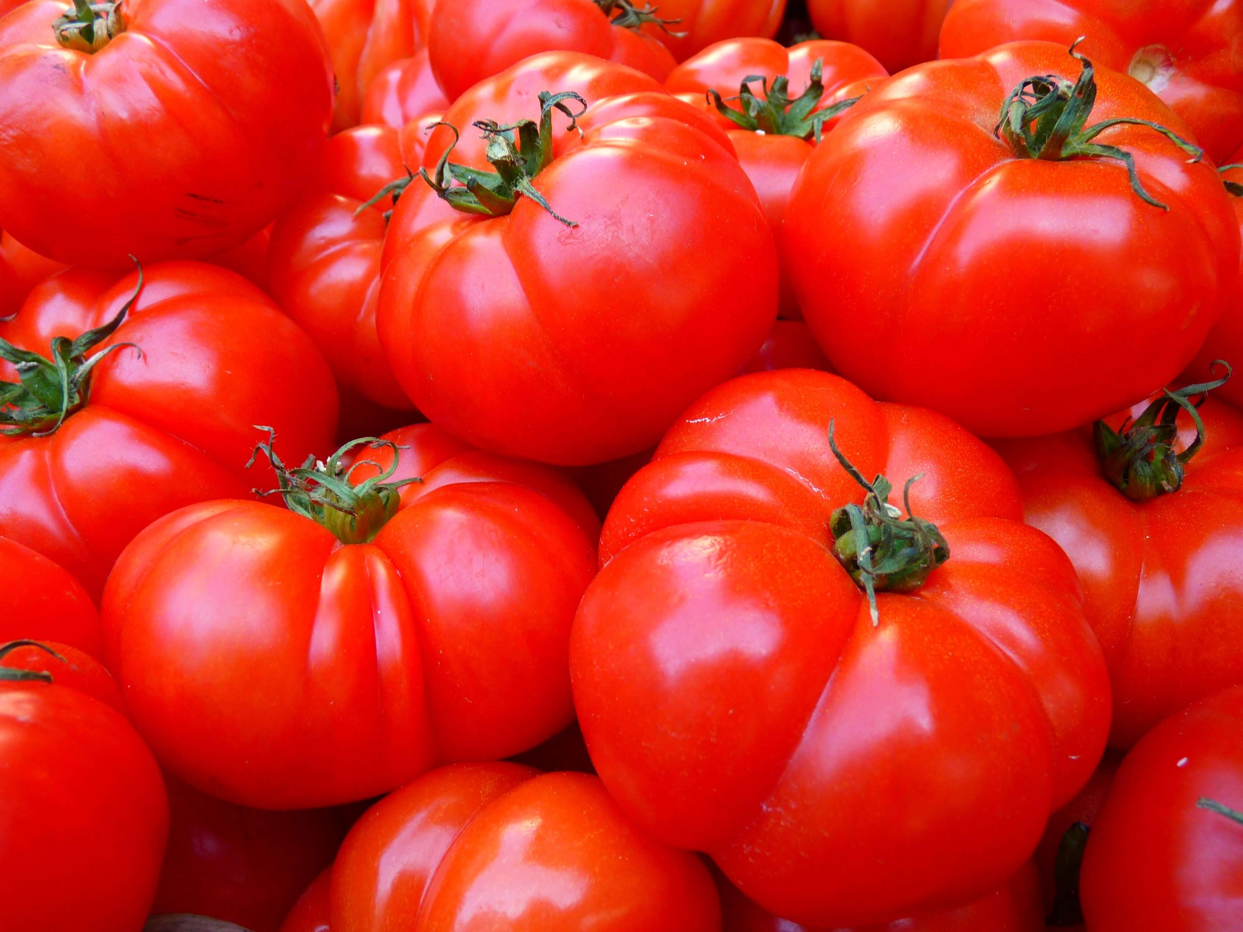 photo de tomates rouges