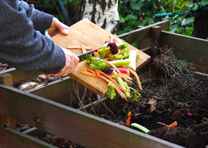 compost pour enrichir sol jardin