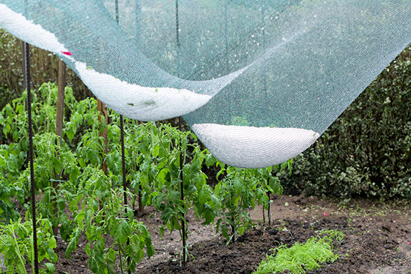 filet anti-grêle après un orage de grêle