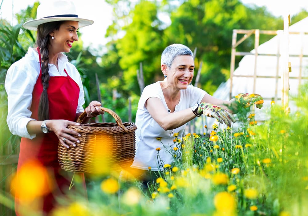 Jardiner augmente les interactions sociales