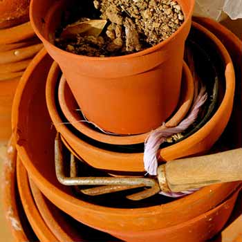 Pot et outillage pour les plantations Pot et outillage pour les plantations