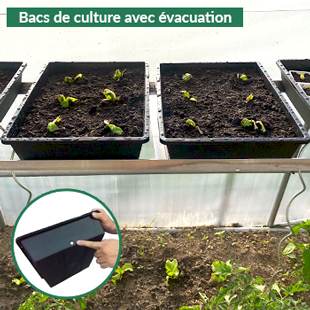 bac de culture adaptés