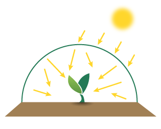 bâche de serre thermique diffusante