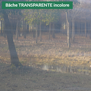 bâche de serre transparente incolore