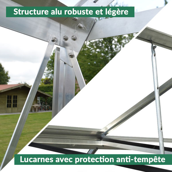 Structure de serre en verre en aluminium robuste