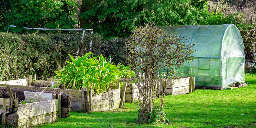 réglementation serre de jardin