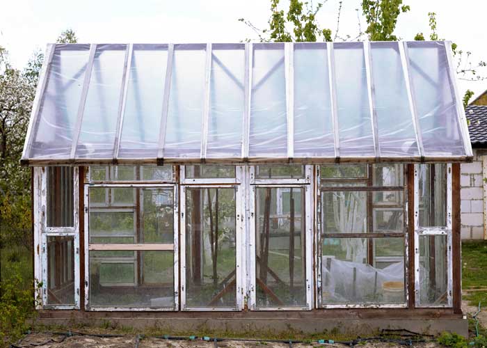 serre construite avec des fenêtres de récupération