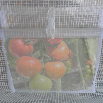 fenetres latérales pour ventiler la serre tonneau