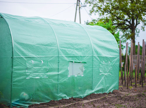 pourquoi serre jardin vertes ?