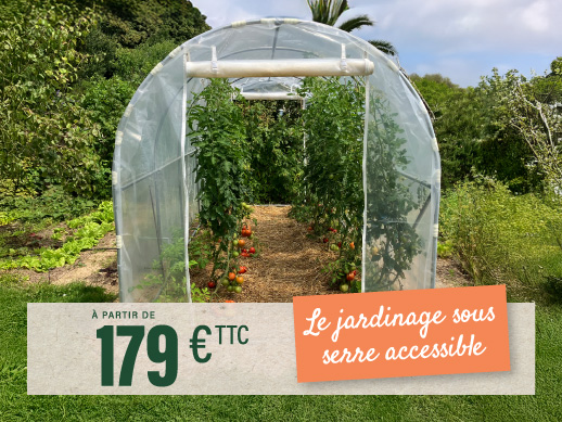 serre-avec-pieds-de-tomates-dans-jardin-deux-portes-enroulables-a-partir-de-cent-soixante-dix-neuf-euros