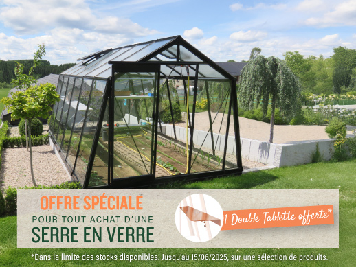 serre-en-verre-dans-un-jardin-pour-achat-serre-en-verre-une-etagere-offerte
