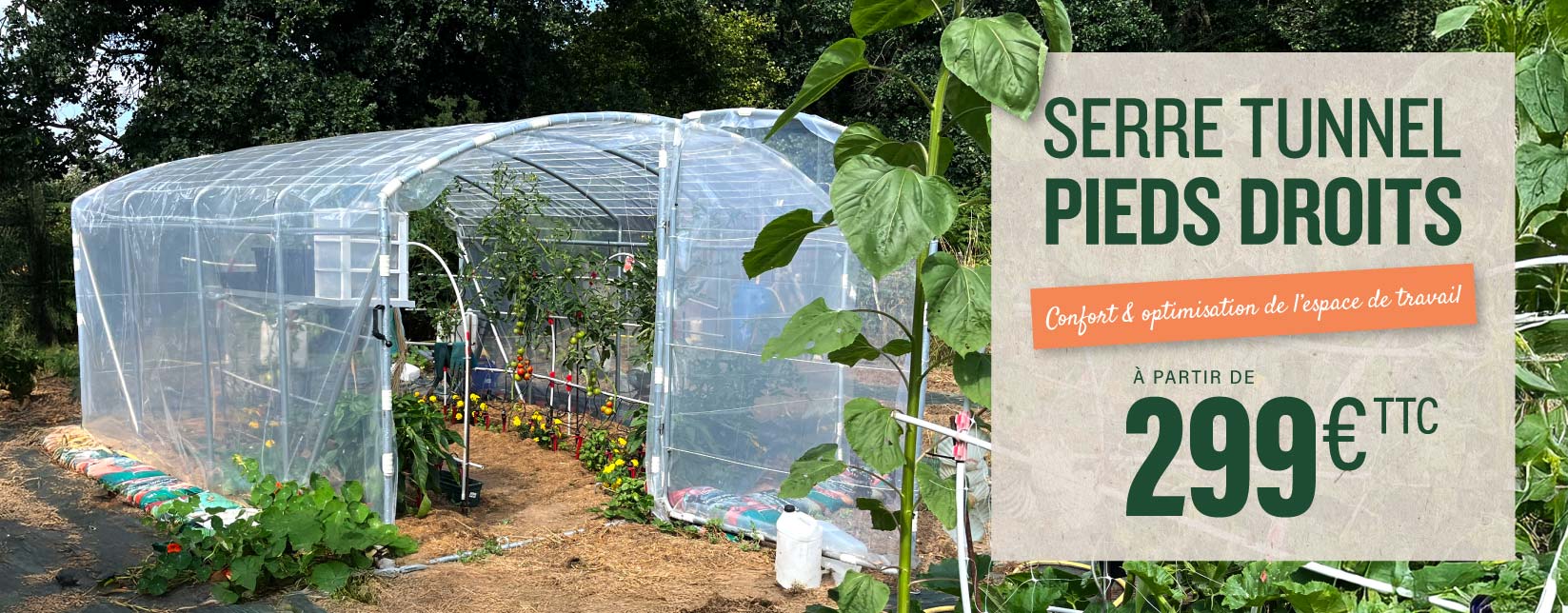 photo-de-serre-dans-jardin-avec-plants-tomates-serre-tunnel-pieds-droits-a-partir-de-deux-cent-quatre-vingt-dix-neuf-euros