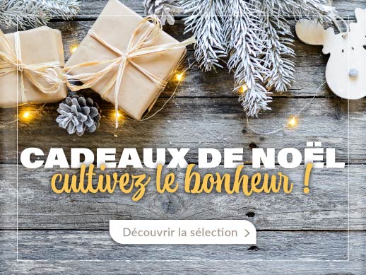 Idées cadeaux de Noël jardinage et potager