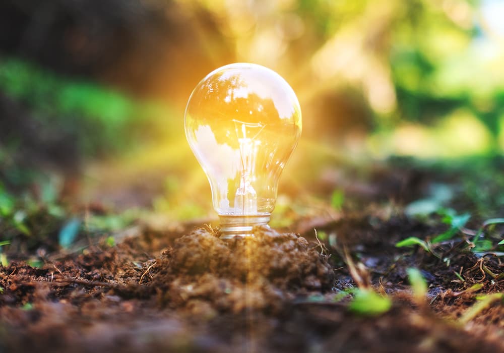 Le jardinage stimule la créativité