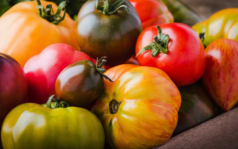 Il existe de nombreuses variétés de tomates à cultiver